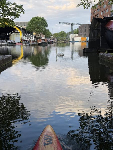 The photo captures a serene view from a paddleboard on the canal at Oesjesduiker, Oostenburg, Amsterdam, with a graceful swan gliding across the calm water